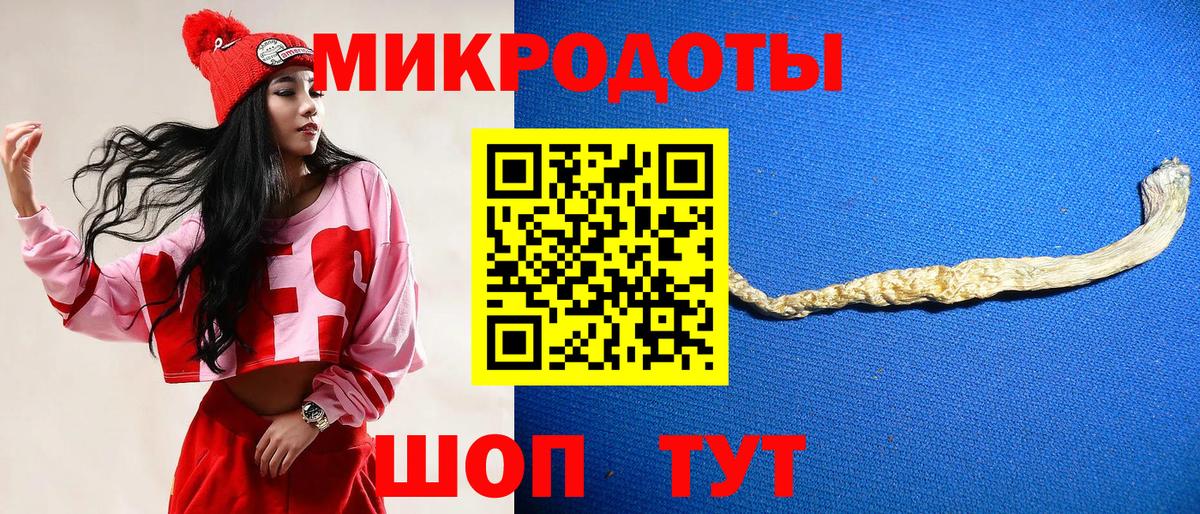 Галлюциногенные грибы прущие грибы Новомосковск